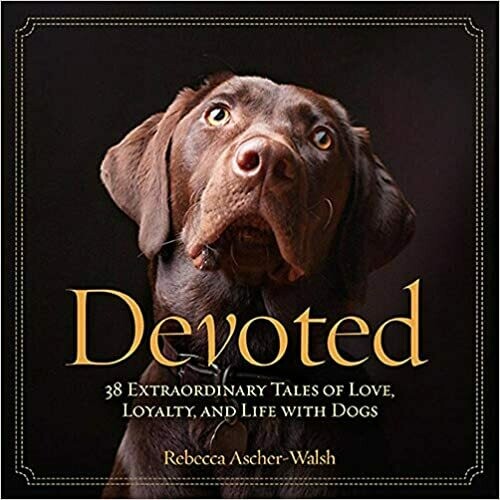 Devoted: 38/Tales of Love -hc
