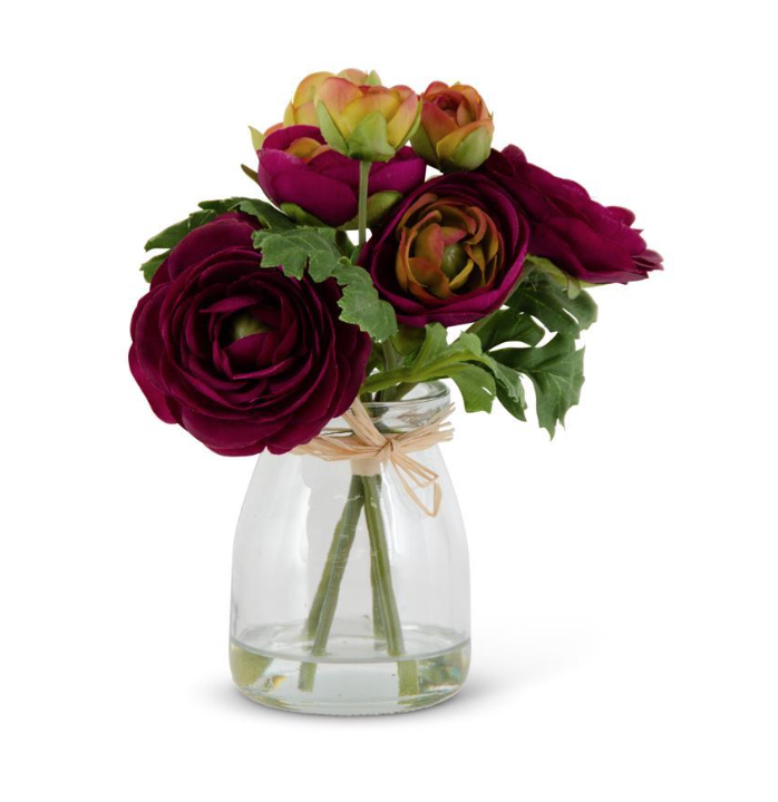 Ranunculus in Jar