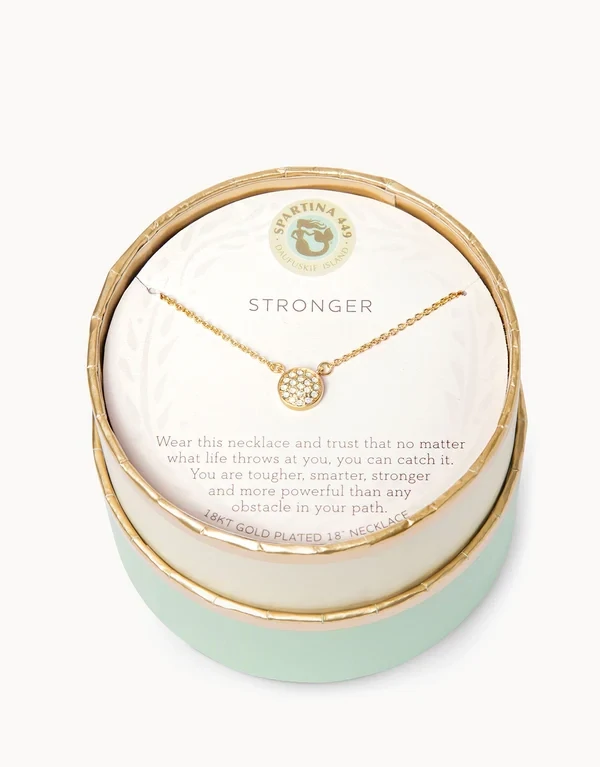Stronger/Pave Disk 291261 