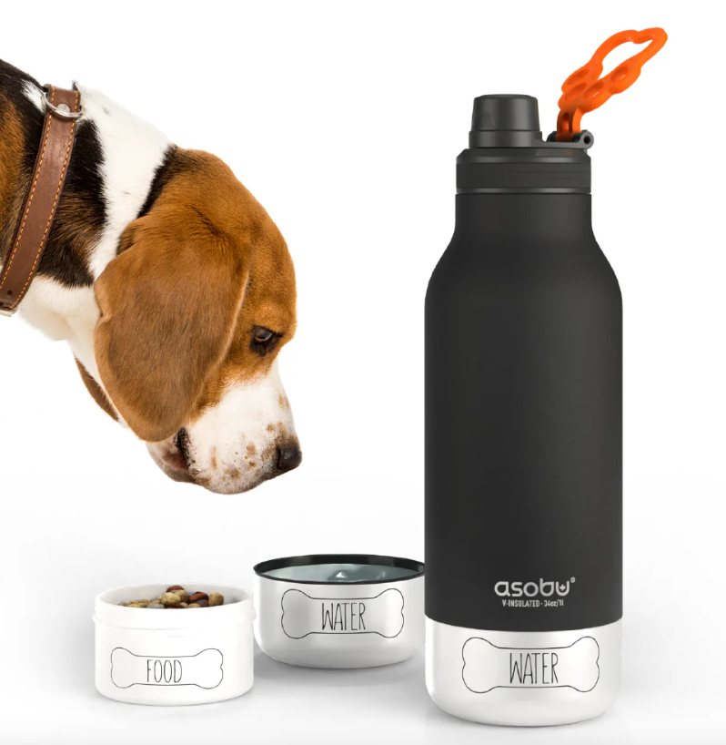 3 in 1 Buddy Bottle