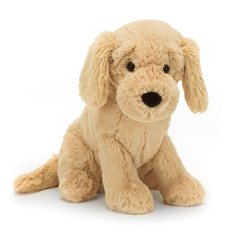 Tilly Golden Retriever