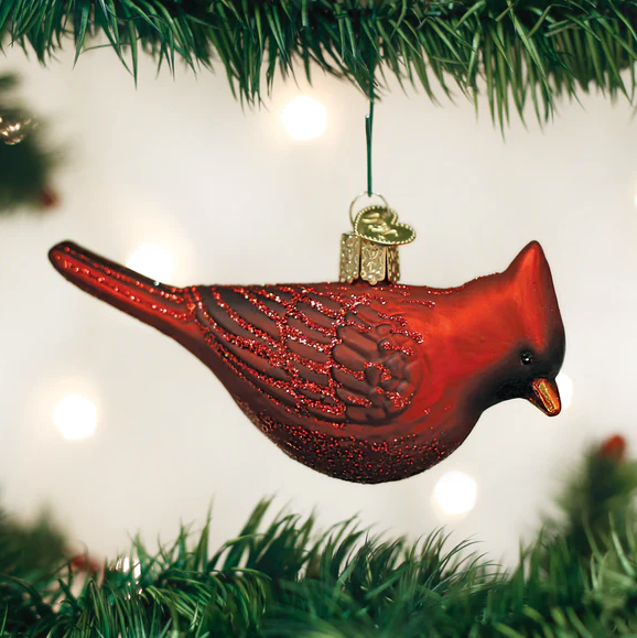 Northern Cardinal Orn