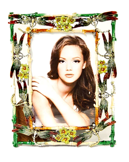 Dragonfly Jeweled 4x6 frame