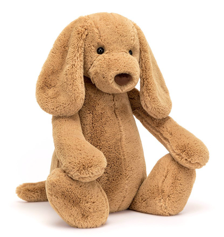 Bashful Toffee Puppy Really Big