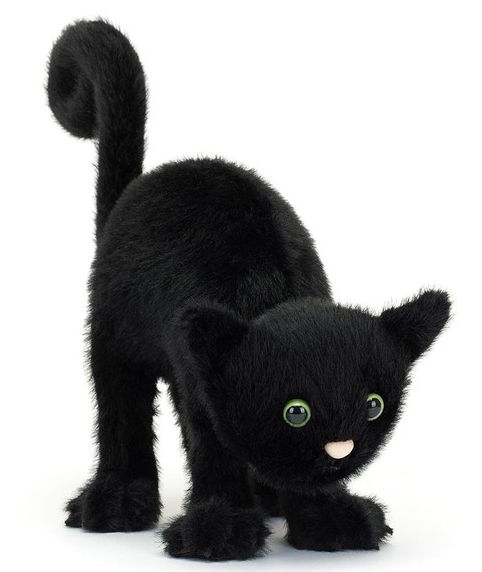 Spookipaws Cat