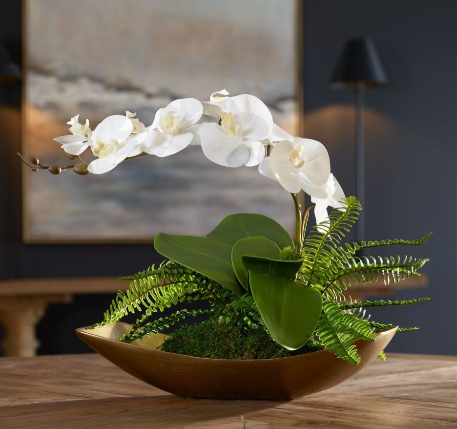 Transcend Orchid