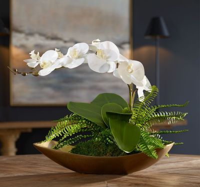 Transcend Orchid