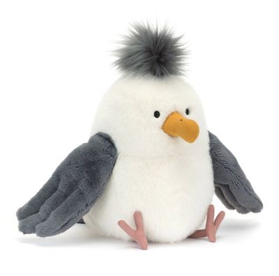 Chip Seagull