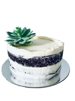 Standard Cake - Succulents