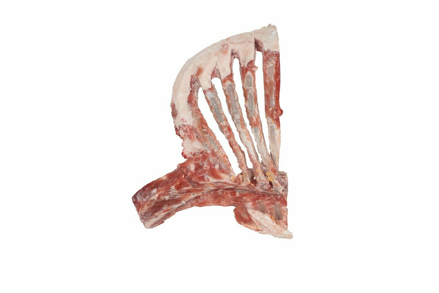 Raw Treat Lamb Ribs