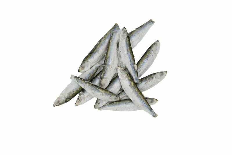 Frozen Sprats