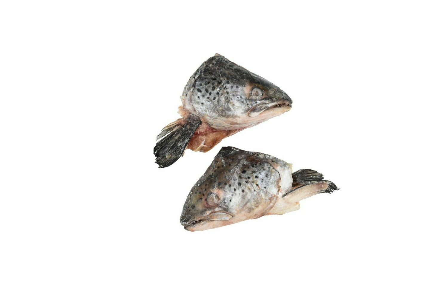 Frozen Salmon Heads