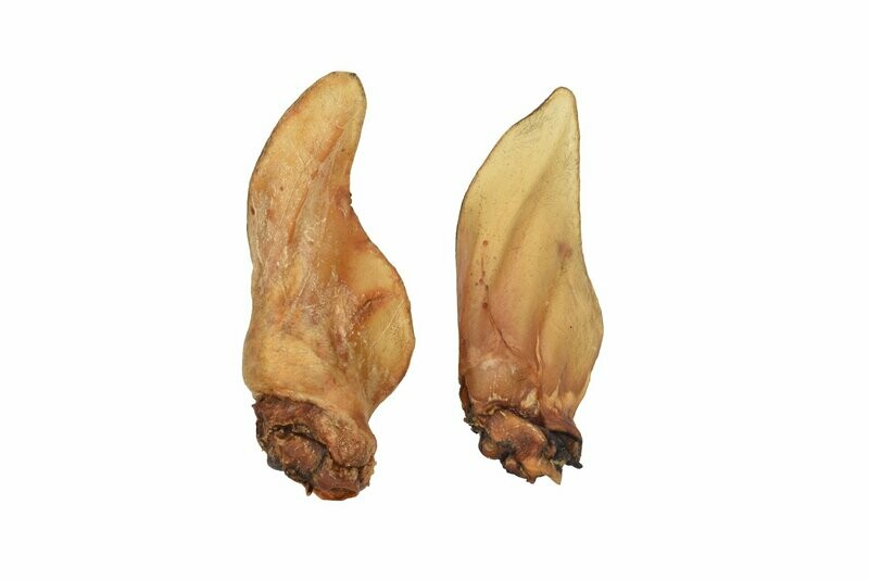 Buffalo Ear