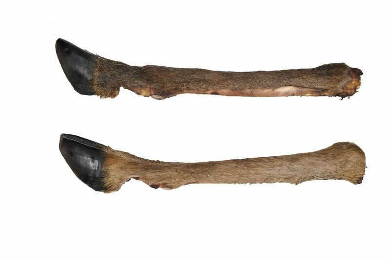 Venison Leg with Hair