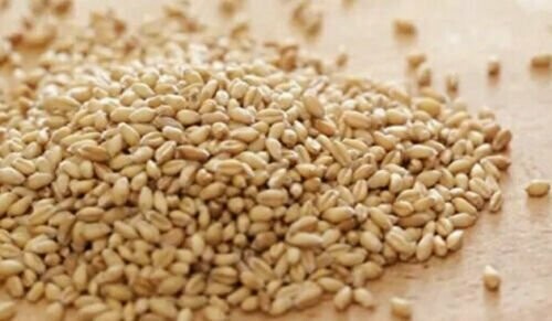 20Kg Heygates Whole Wheat