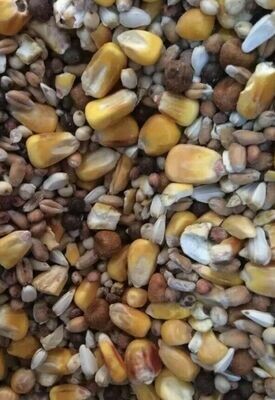 Unprepared Spod Mix Carp Fishing Bait Hemp Maize Particles Seeds
