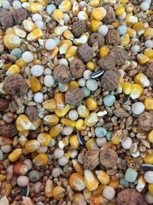 Unprepared Spod-Tiger Nut Mix, Carp Fishing Bait Hemp Maize Particles Seeds