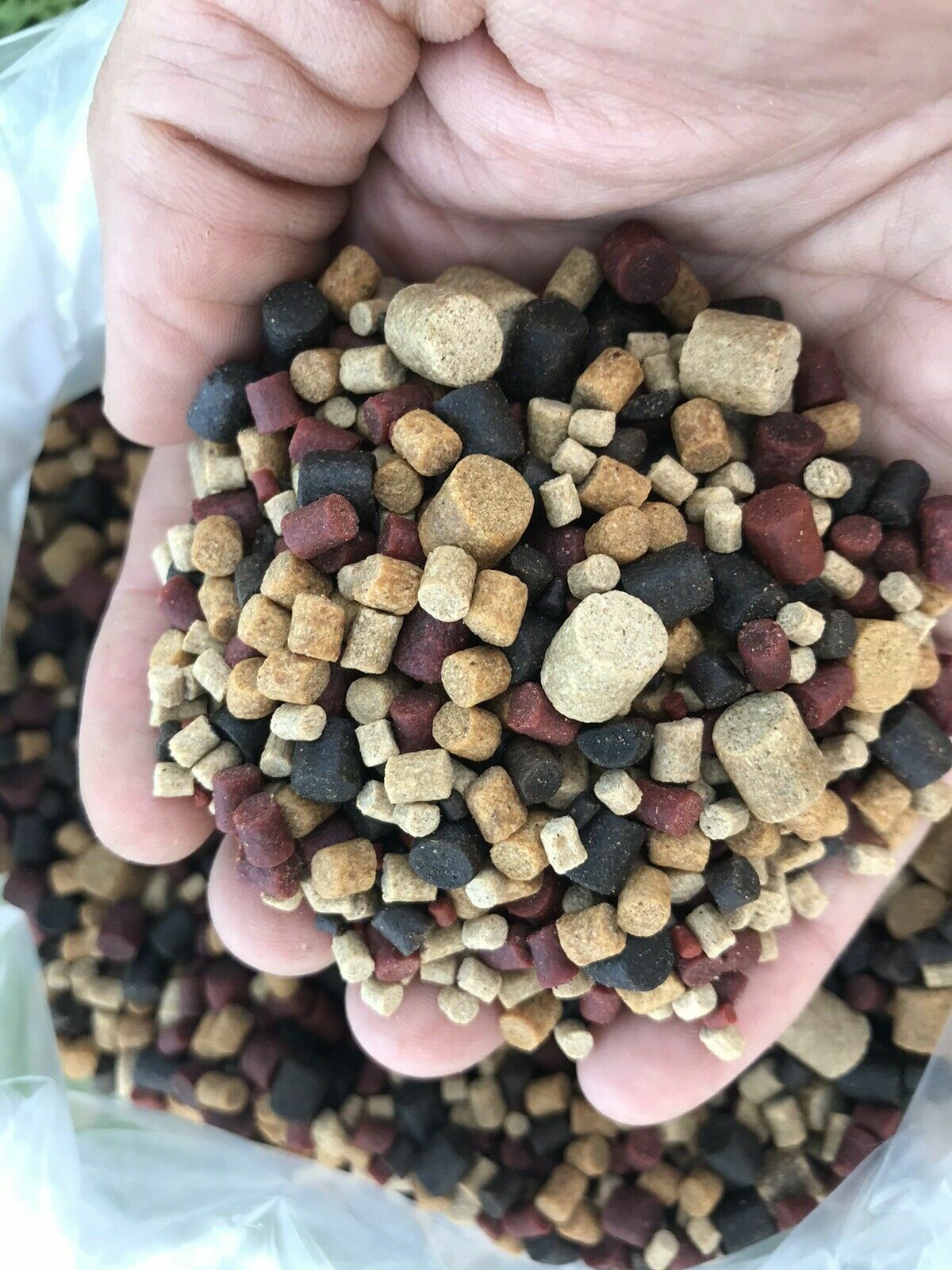 Premium Fishing Pellets - Coarse/Carp Fishing Bait ,Skretting, Coppens