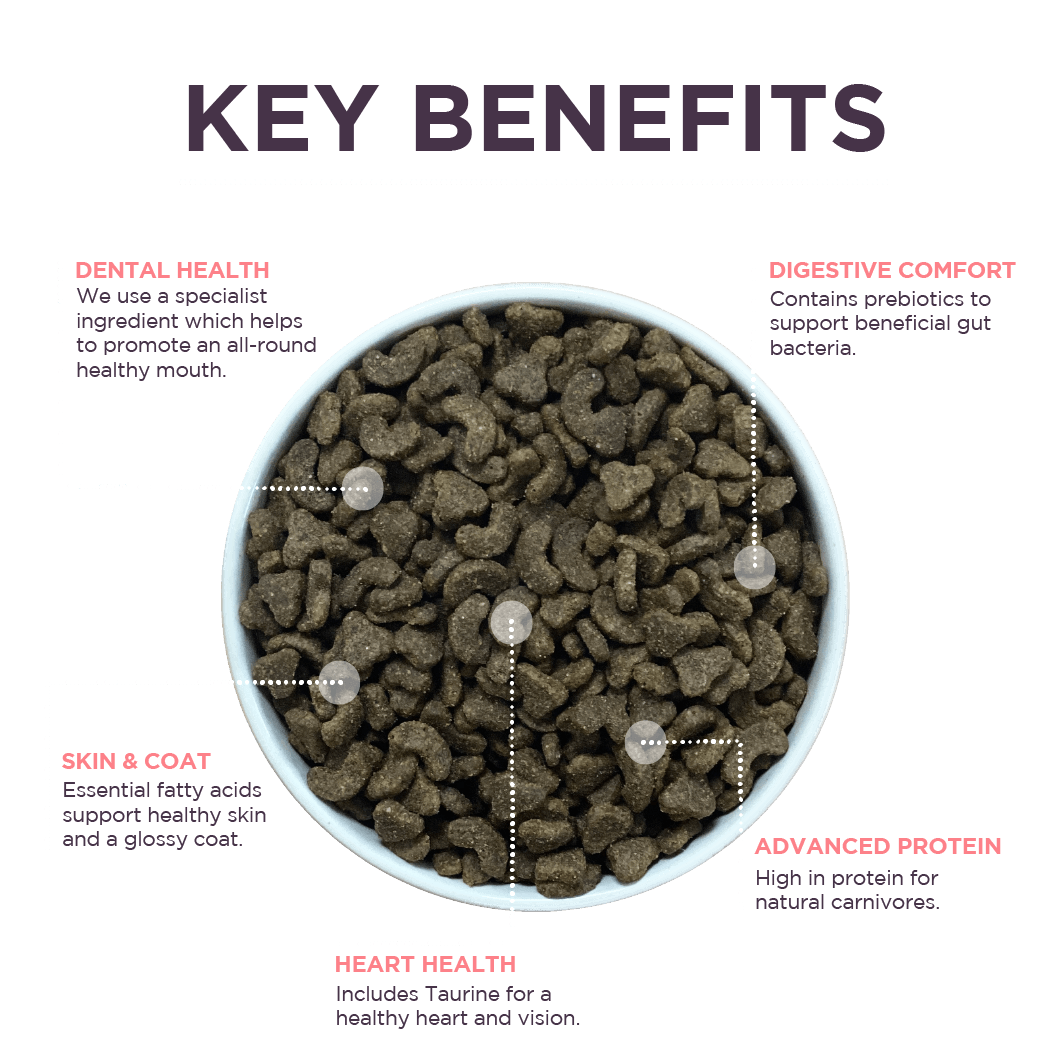 10kg Burgess Adult Cat Rich in Salmon