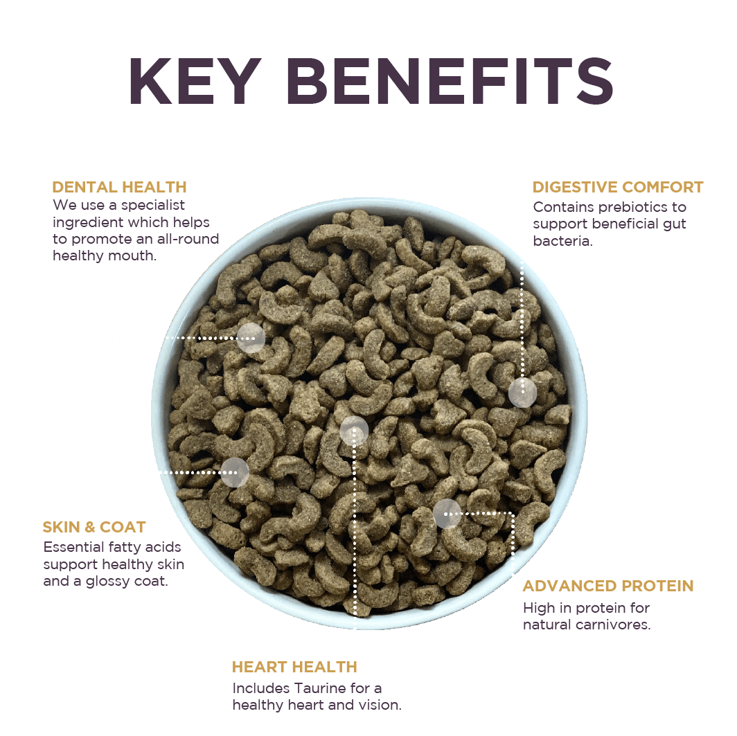 10kg Burgess Adult Cat - Chicken with Duck