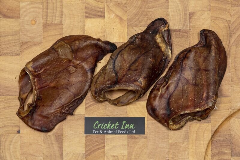 Pigs Ear