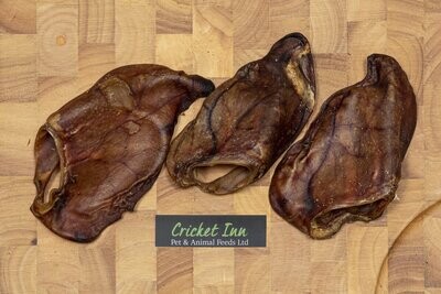 Pigs Ear