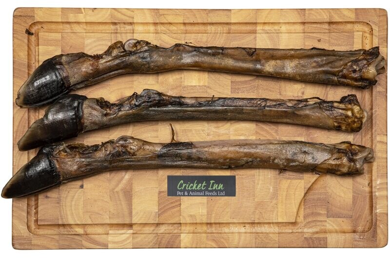 Deer Leg With Fur