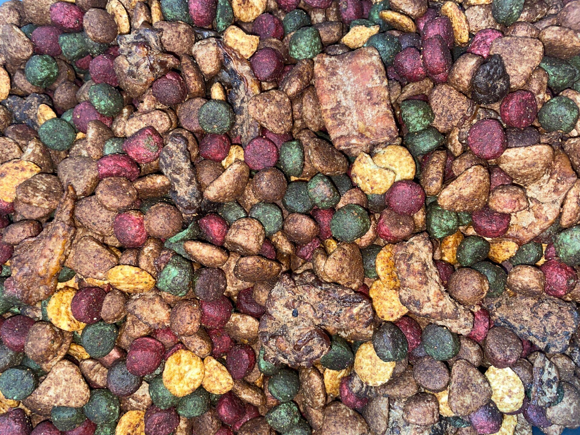 15kg - Salmon Oil Body Builder Plus!