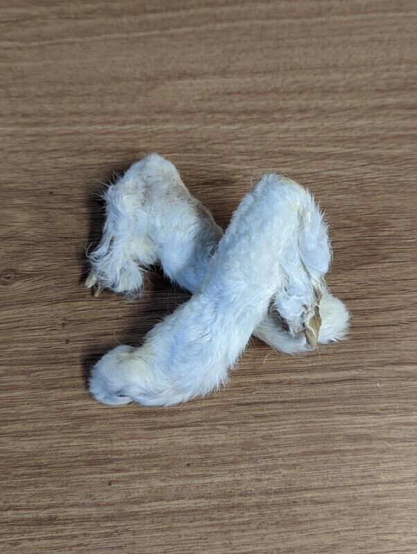 Rabbit feet