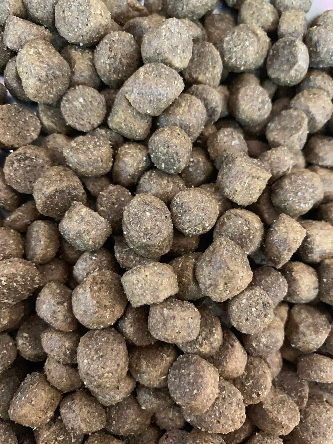 Hypoallergenic dog food Cricket Inn Pet & Animal Feeds