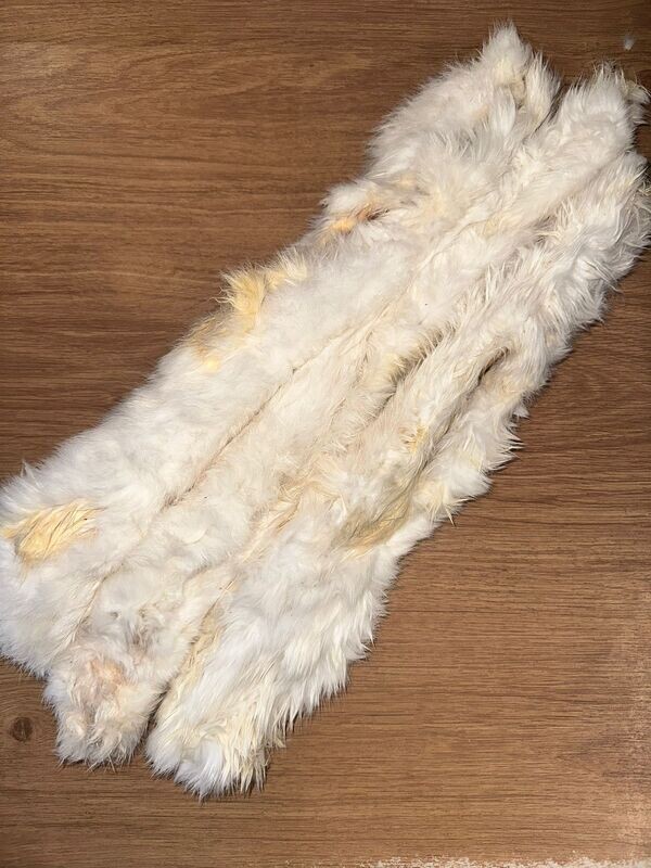 Rabbit Skin With Fur