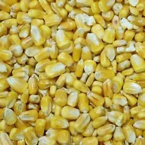 Whole Maize