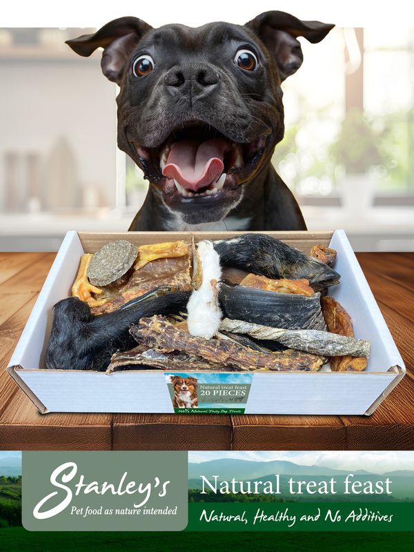 100% Natural Treat Bundle!