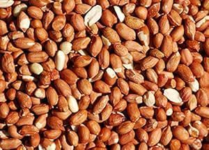 20kg Whole Peanuts 20kg Whole Peanuts