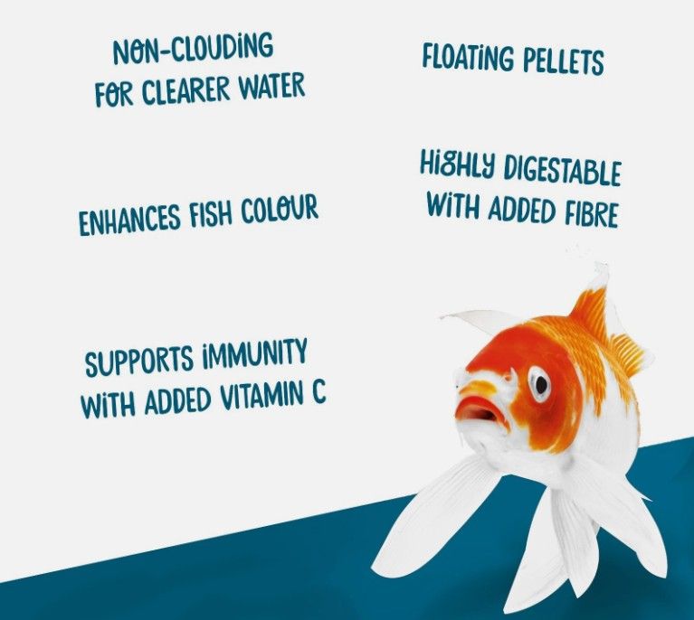 5kg Webbox Rainbow Sticks