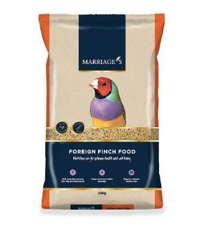 20kg Marriages Foreign Finch