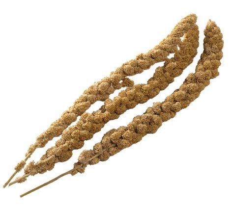 1kg Millet Sprays