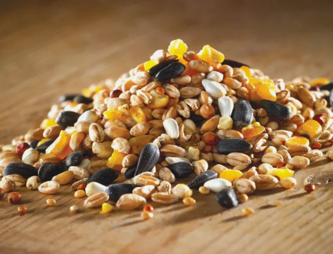 20kg All Seasons Wild Bird Food