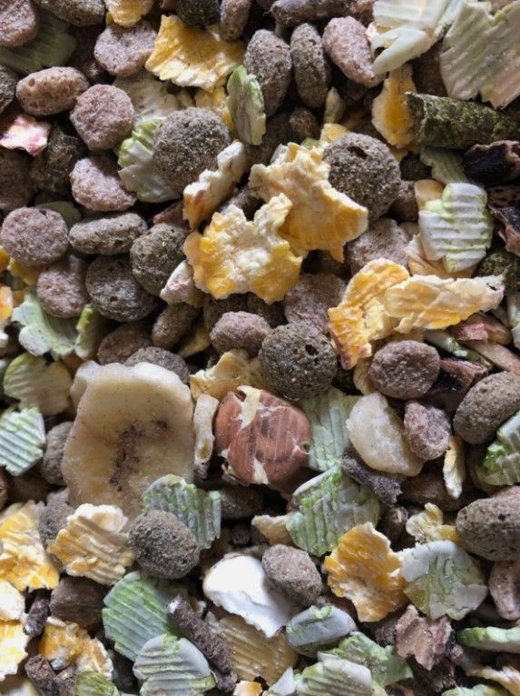 15kg Fruity Rabbit -Bestpets