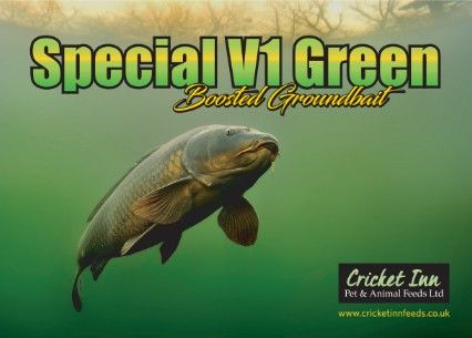 Special V1 Green Fishing Groundbait