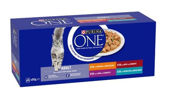 Purina ONE Adult Mini Fillets Wet Cat Food Gravy 40x85g