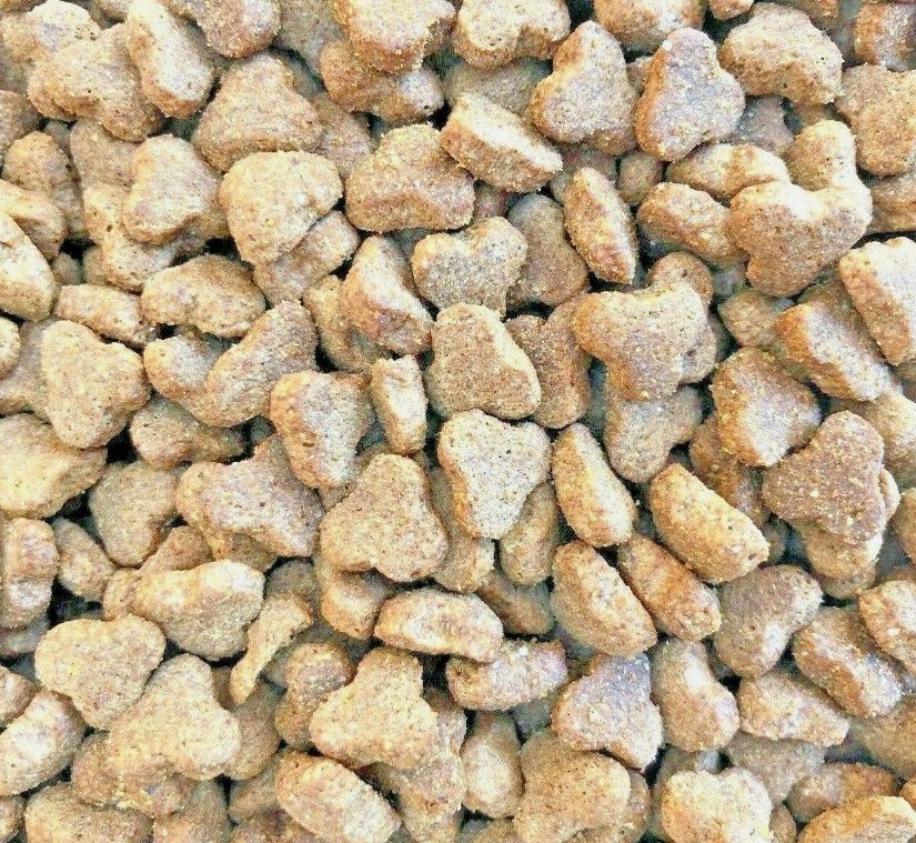 10kg Ferret Food