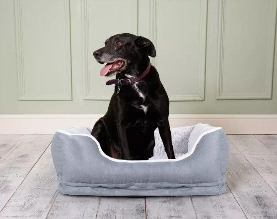 Dream Paws Pet Sofa Bed Medium