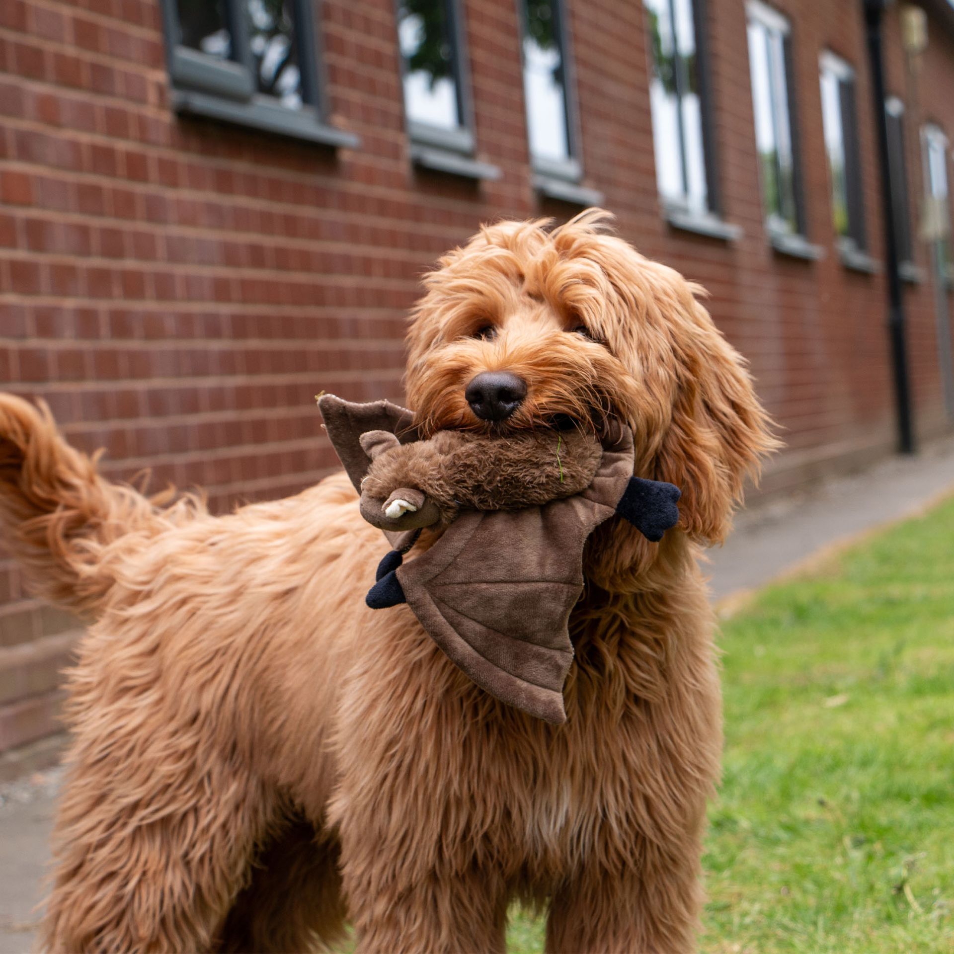 Heritage Barnaby Bat Midi