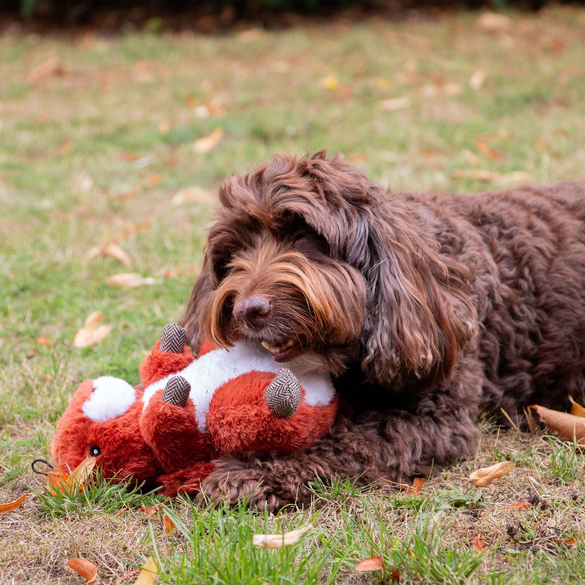 Heritage Samantha Squirrel