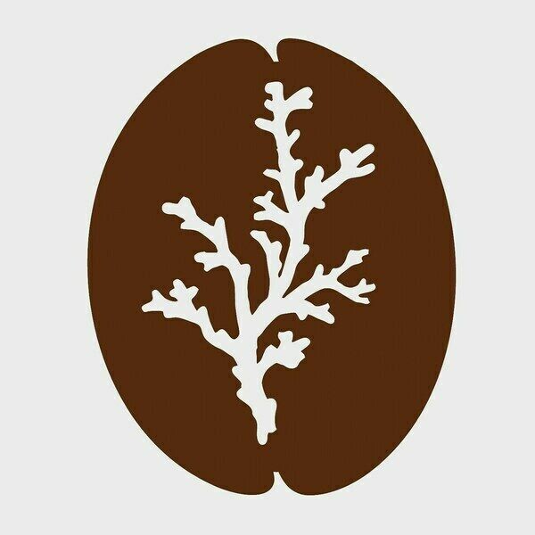 Coral Coffee