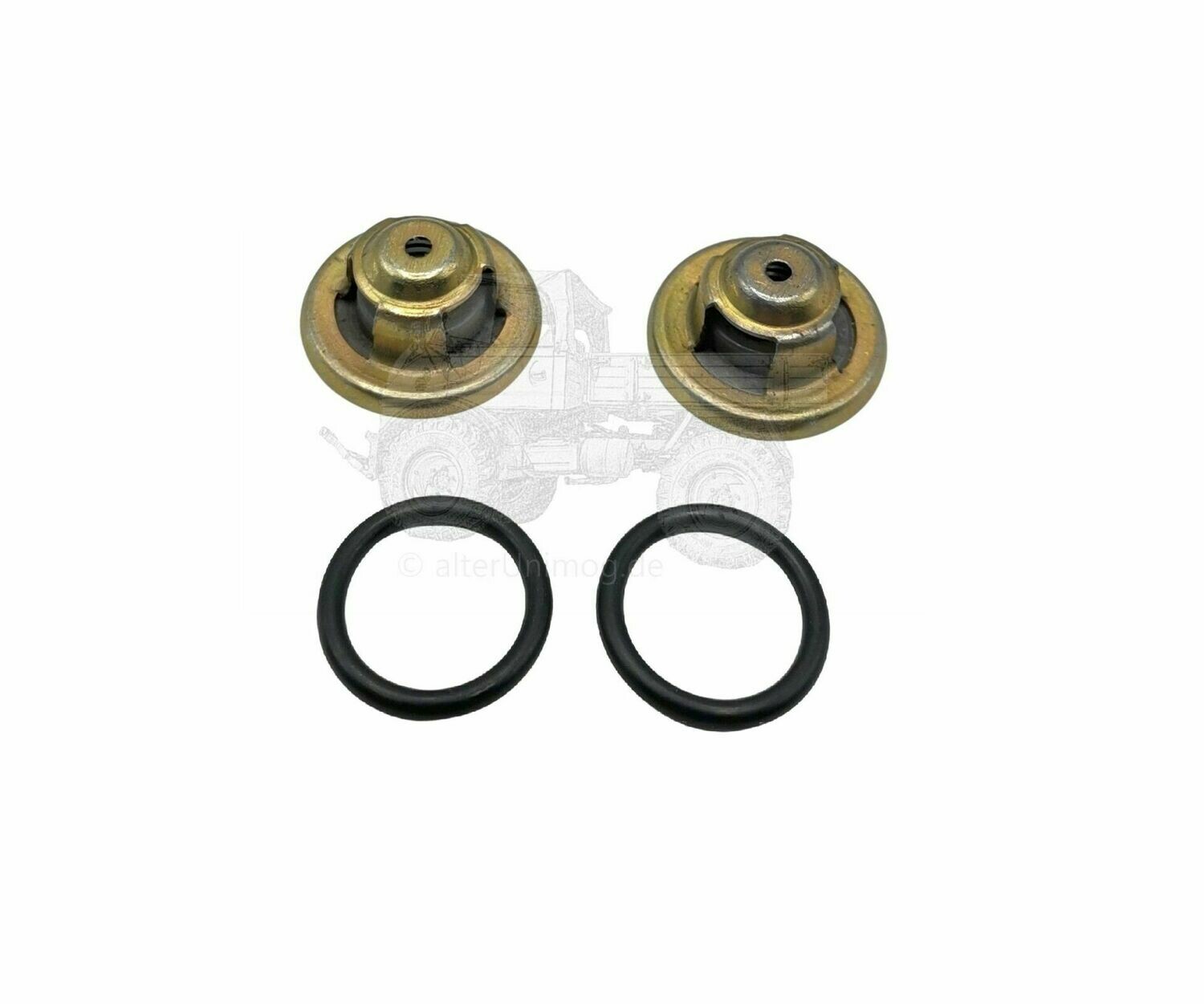 Dieselpumpe, Kraftstoffpumpe Ventil Satz OM621,615,616,366 Unimog 421,407 Dieselpumpe, Kraftstoffpumpe Ventil Satz OM621,615,616,366 Unimog 421,407