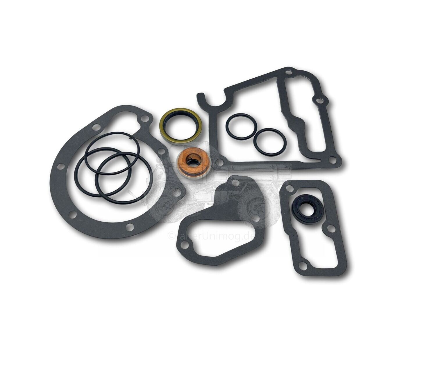 Dichtsatz Wasserpumpe OM364 Dichtsatz Wasserpumpe OM364