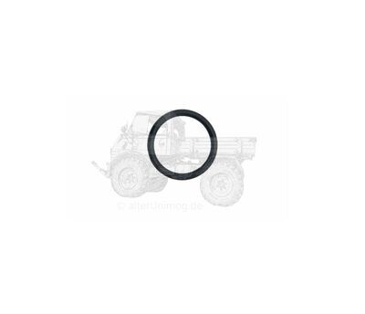 Einspritzpumpe O-Ring Unimog 421 OM616