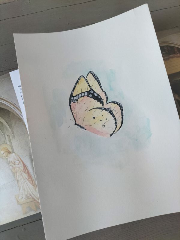 In volo libero - Farfalla